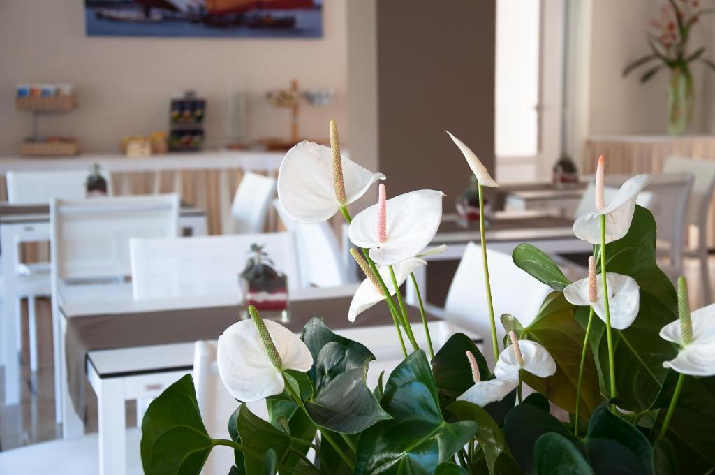 Hotel Park Spiaggia Grado Luaran gambar